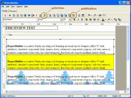 TRichView no ReportBuilder